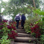 Aktivitas Menarik di Taman Wisata Bukit View Pelet: Dari Hiking hingga Bersantai di Area Piknik