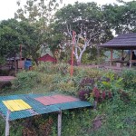 Rasakan Sensasi Camping di Bukit View Pelet: Panduan dan Tips untuk Pengalaman Berkemah Tak Terlupakan